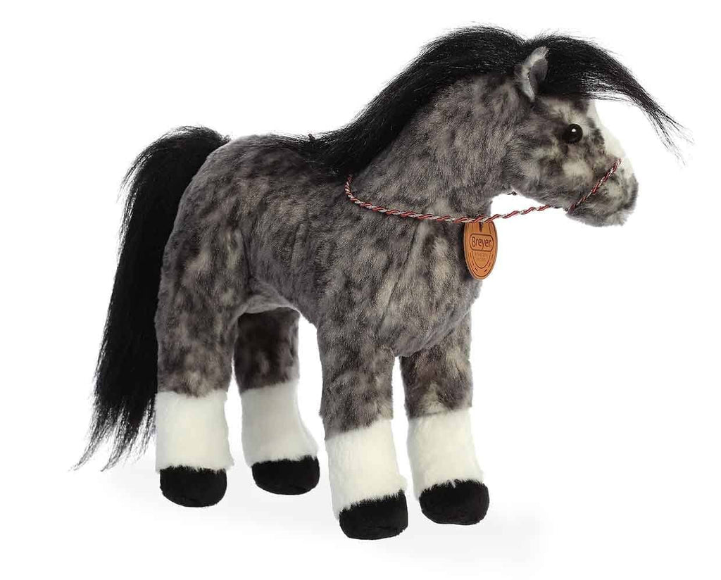 13" Andalusian | Showstoppers