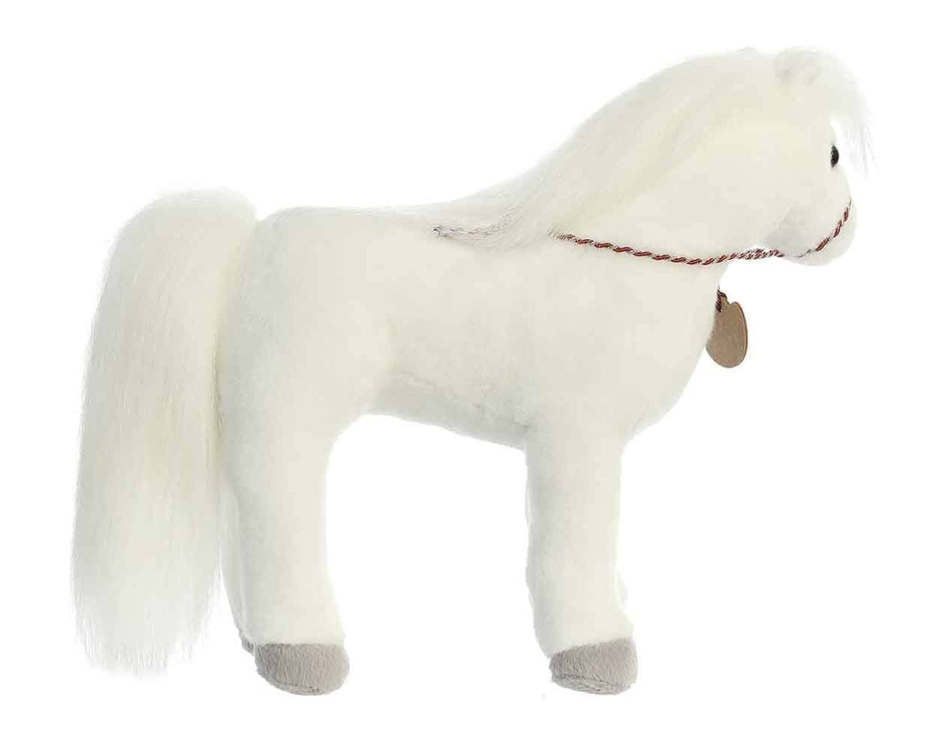 13" Arabian | Showstoppers