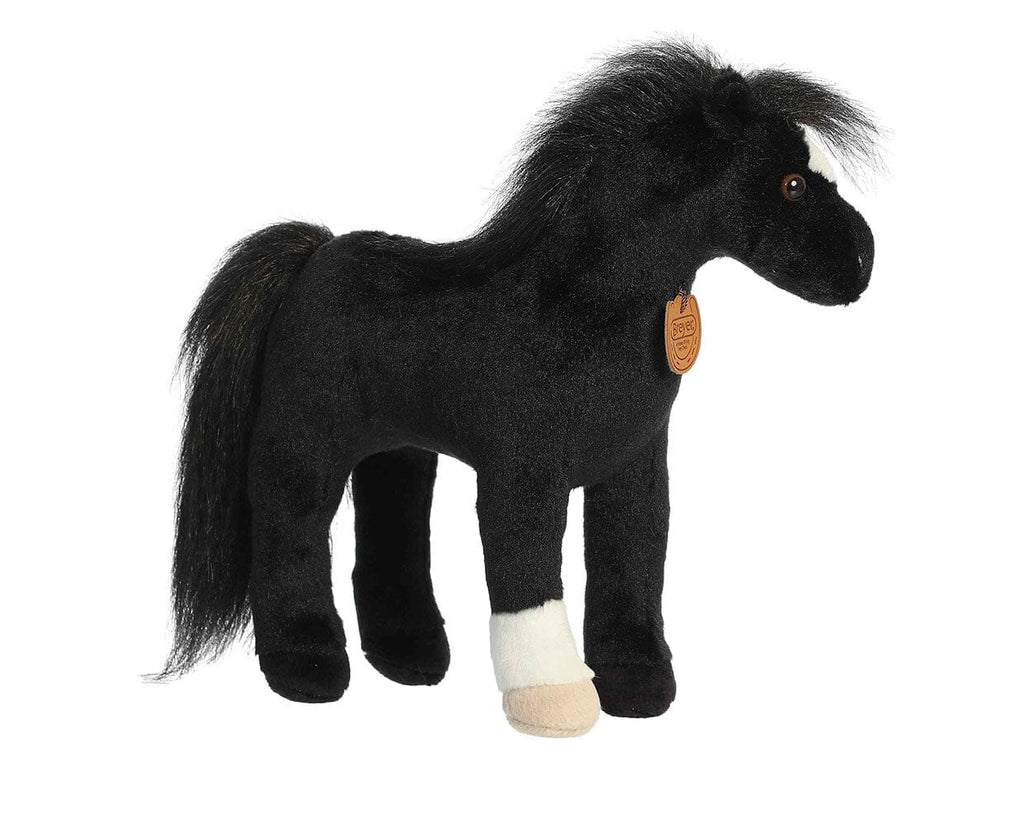 13" Thoroughbred | Showstoppers