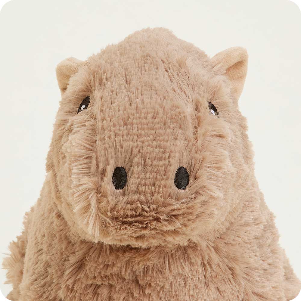 Capybara Warmies