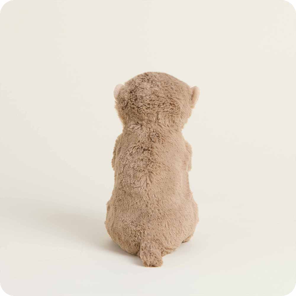 Otter Cuddles Junior