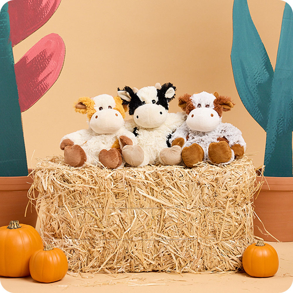 Pumpkin Spice Latte Cow Warmies